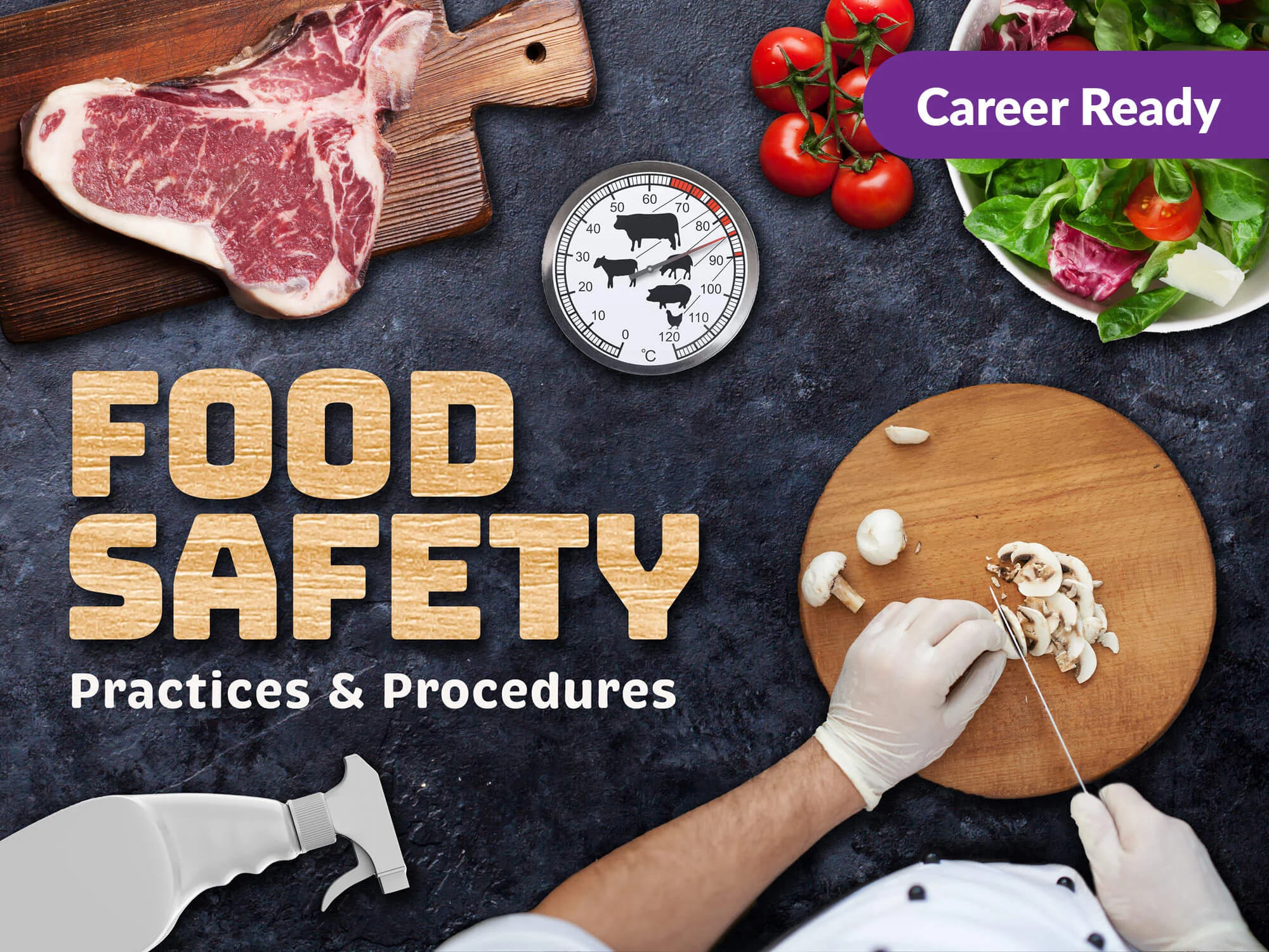 Food safety rules, Food safety PDF, 10 importance of food safety, Food Safety Department, Food safety course, Food safety